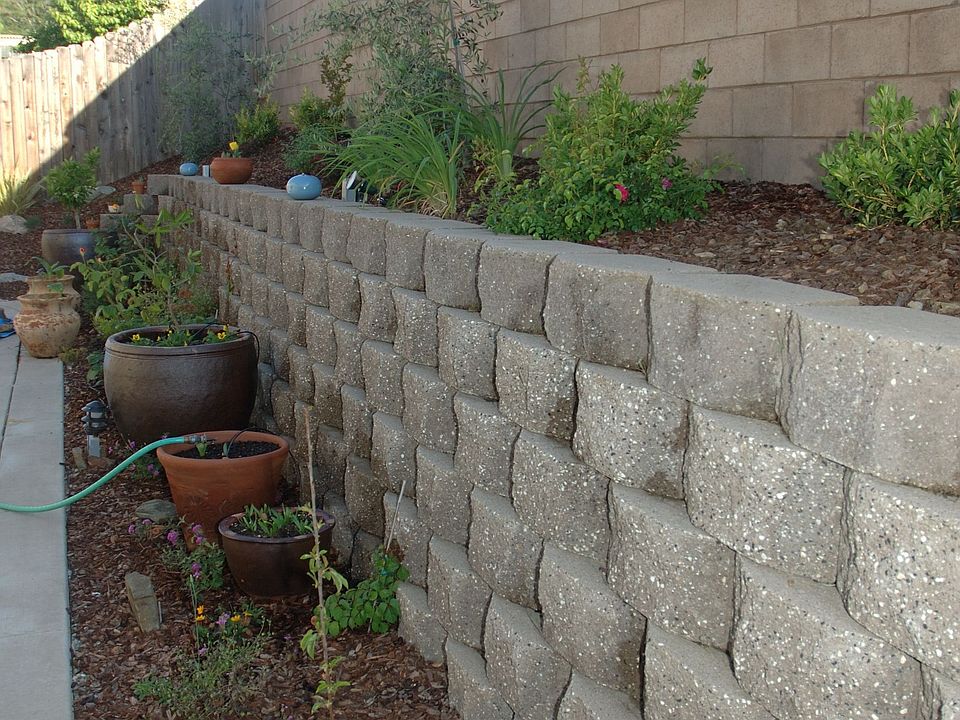 Backyard 1