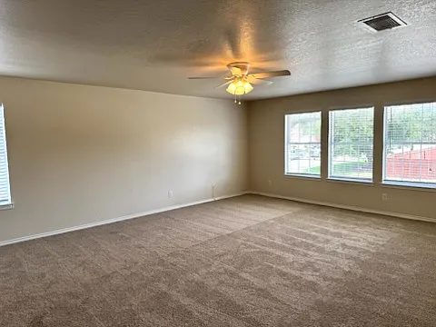 4323 Palm Point — Photo 7
