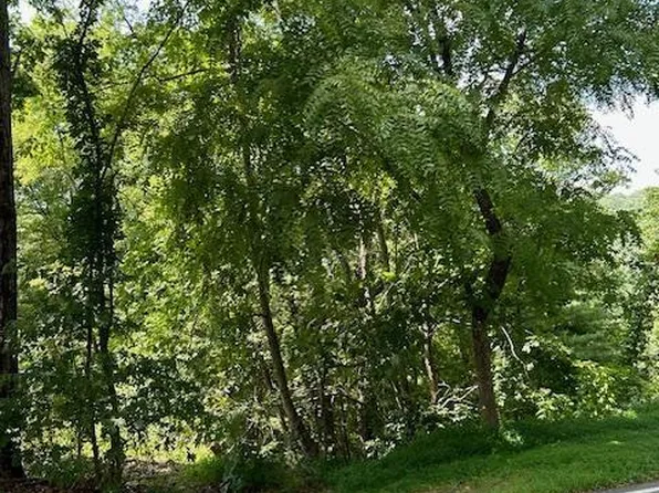 46 Elk Mountain Rdg, Asheville, NC 28804