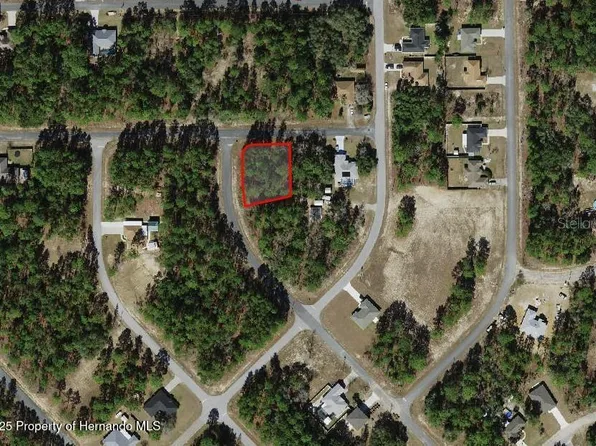3662 W Galtonia Ln, Citrus Springs, FL 34433