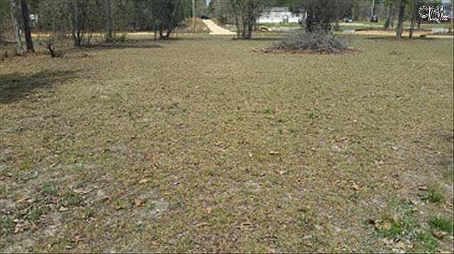 2nd image of 349 Hass Lucas Rd