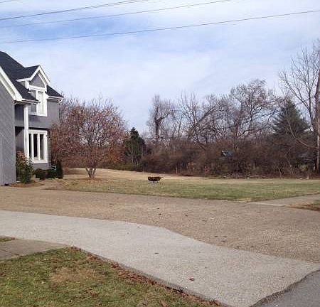 2nd image of 12111 Greenvalley Dr