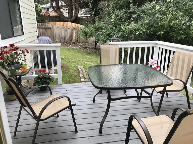 Patio overlooking the backyard