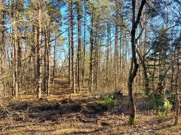 LOT 2 Fox Ridge Trl, Houlton, WI 54082