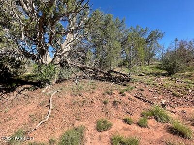 LOT 122 W Ridge Dr, Seligman, AZ, 86337