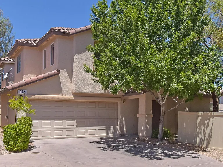 10521 Silver Cholla Ct — Photo 13