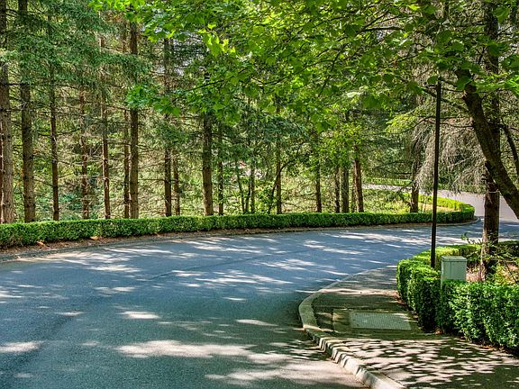Private forested driveway to the complex.