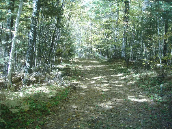 Off Brimstein Rd, Park Falls, WI 54552