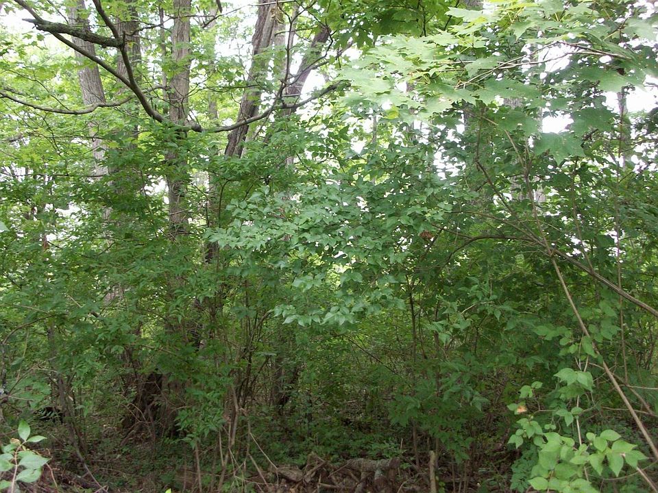 1st image of 0 Wildwood Rd Lot 31-37