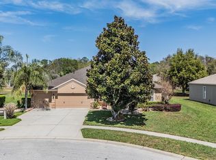 19101 Lone Creek Ct, Land O Lakes, FL 34638