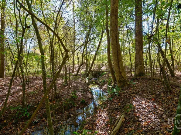 1 Bridges, Carlton, GA 30627