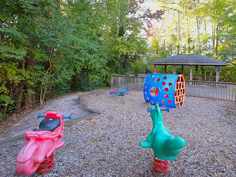 Wooded Playground Space