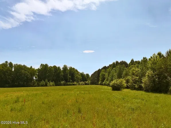 0 Old Chinquapin Road, Beulaville, NC 28518