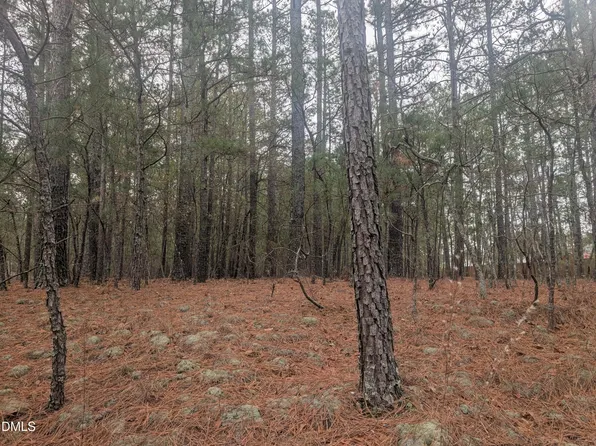 13 Saw Grass Rd Lot 13, Eagle Springs, NC 27242