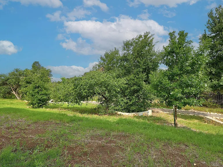 12001 Vista Parke Dr #401 — Photo 32
