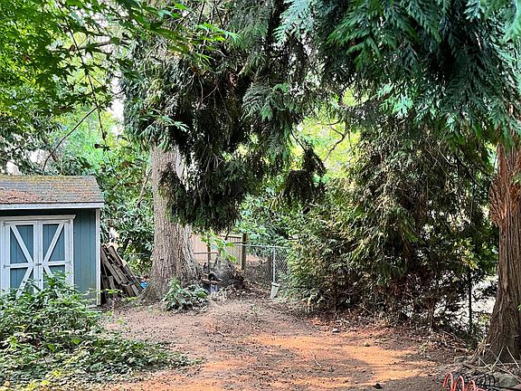 Yard and art studio