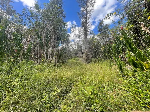 Road 11 Pulelehua Lot 5913, Kurtistown, HI 96760