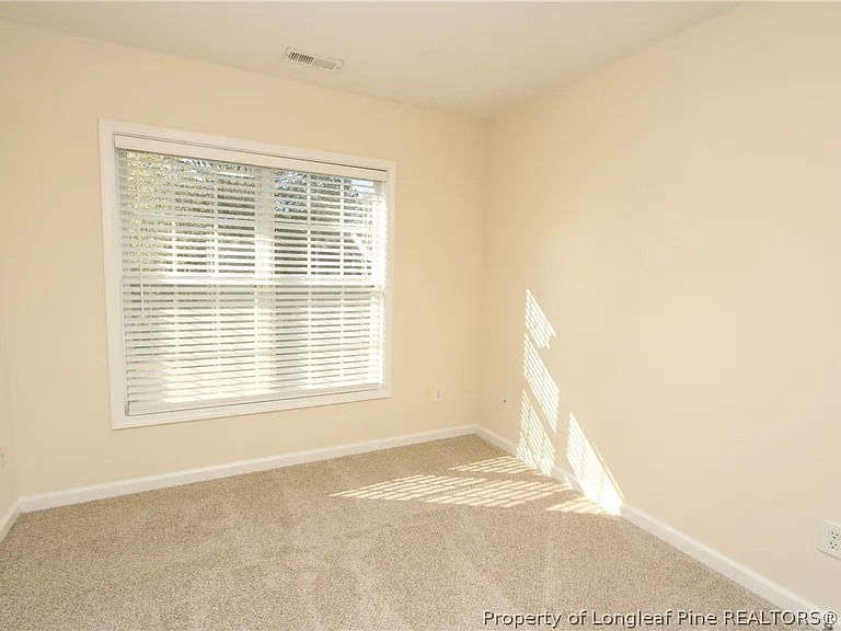 3921 Volkswalk Pl — Photo 23