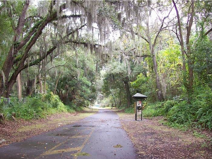 Magnolia Walking Trail