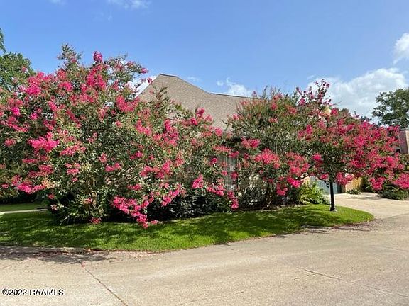 2nd image of 36 Audubon Oaks Cir