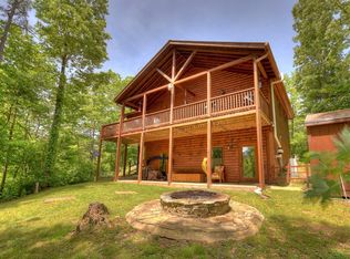 24 Twigg Ln, Mineral Bluff, GA 30559