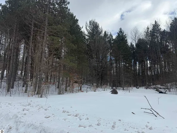 4961 Hill Rd NW, Rapid City, MI 49676