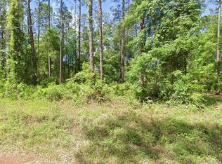 0 NE 156th Pl LOT 21, Fort Mc Coy, FL 32134