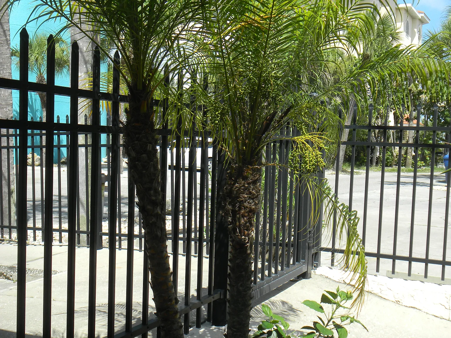 1 bed, 950 sqft, $1,350 — Photo 1