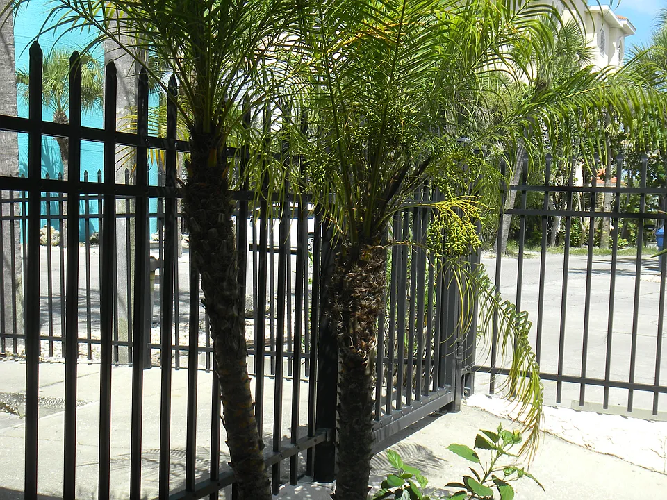 13308 Gulf Blvd #2