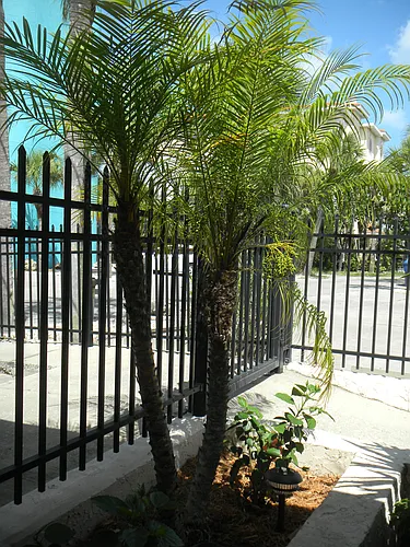13308 Gulf Blvd #2 Photo 1