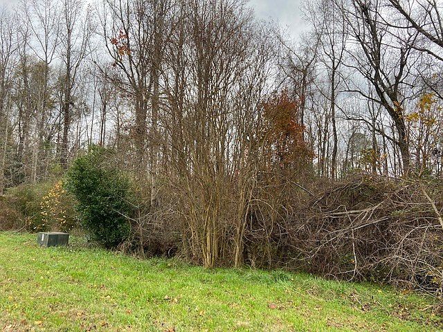 2nd image of Lakewood Dr
