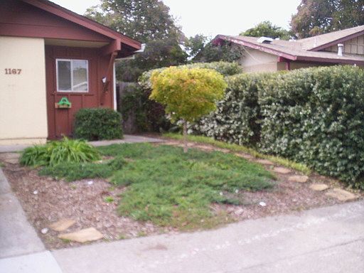 2nd image of 1167 Kansas Ave
