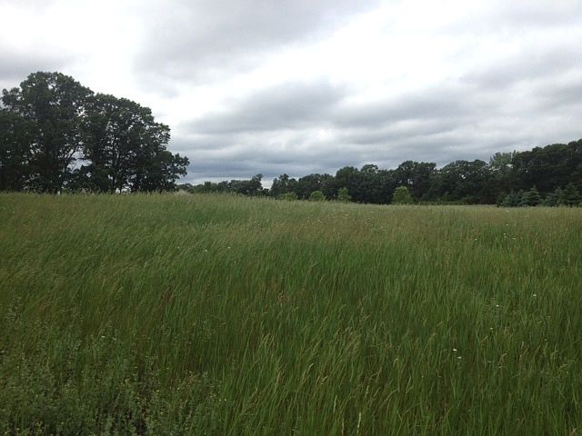 1st image of Xxx 288th Ave
