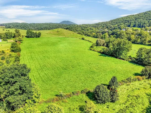 Peppers Ferry Rd Tract 4, Max Meadows, VA 24360