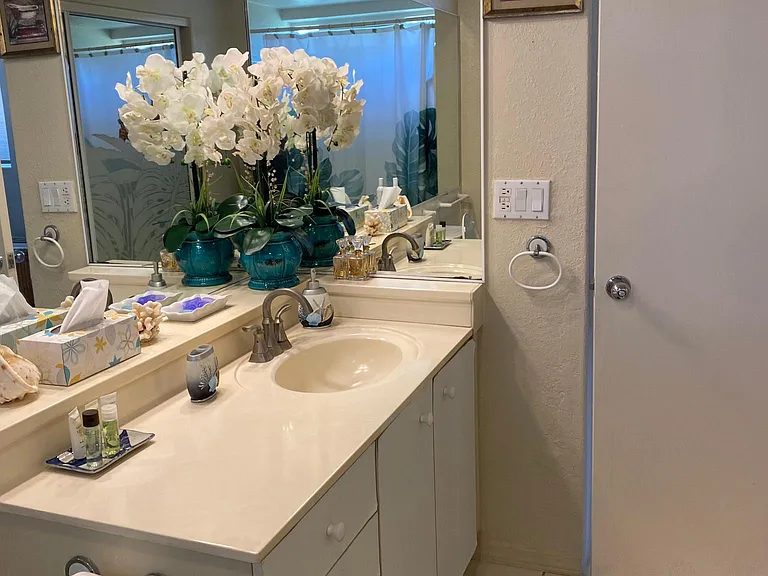 Bathroom downstairs, mirrored walls.