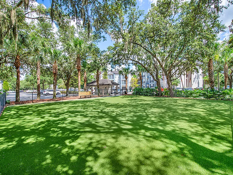 MAA Tampa Oaks — Photo 6