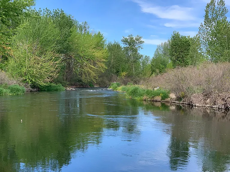 Star River Walk view