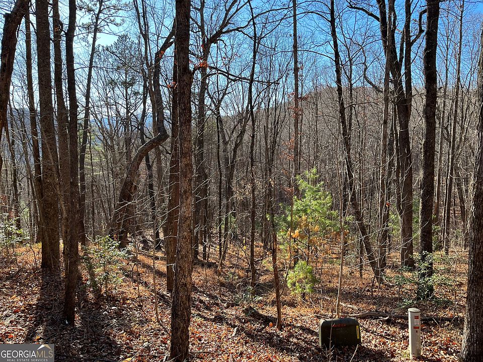 1st image of LOT 1 Forest Canopy Way