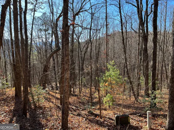 LOT 1 Forest Canopy Way, Clayton, GA 30525