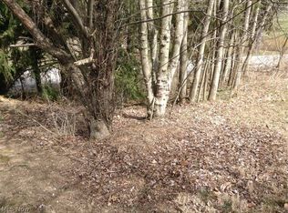 0 Redstone Rd, Jacobsburg, OH 43933