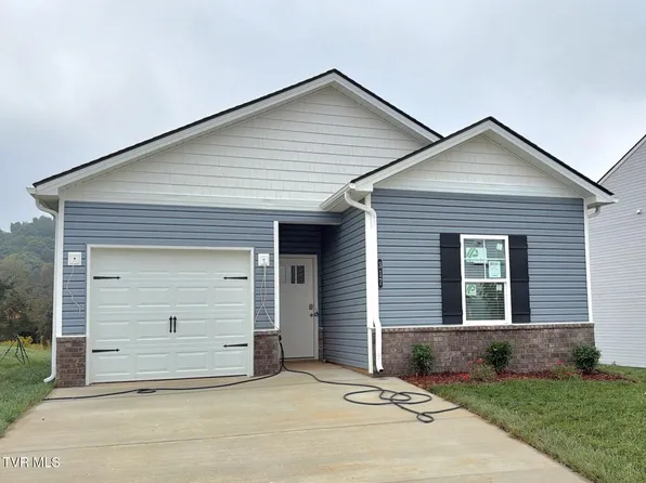 317 Chimney View Loop, Blountville, TN 37617