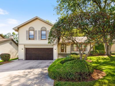 605 S Point Dr, Schaumburg, IL, 60193
