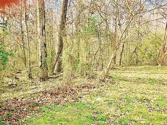 1st image of 408 Bellingham Ct