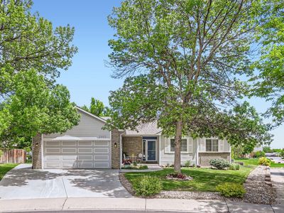 2953 Vye Court, Loveland, CO, 80537