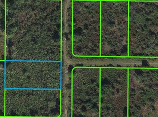 1176 S Gabriel Rd, Avon Park, FL 33825