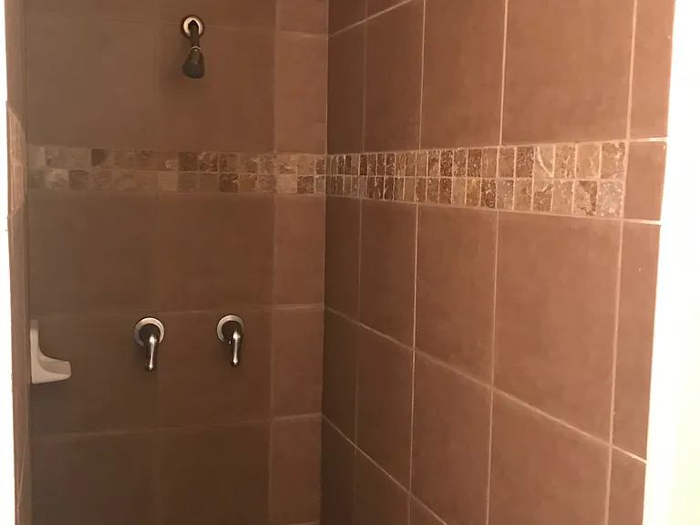 Master bath shower