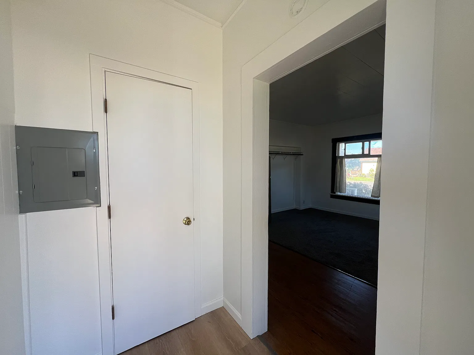 Studio, 557 sqft, $800 — Photo 4