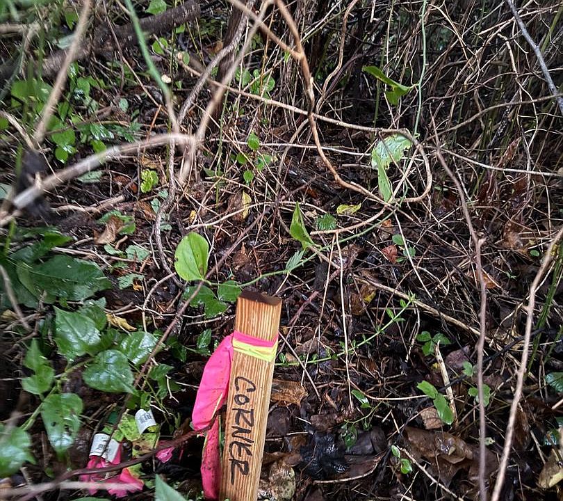 2nd image of 0 Novum Rd #E