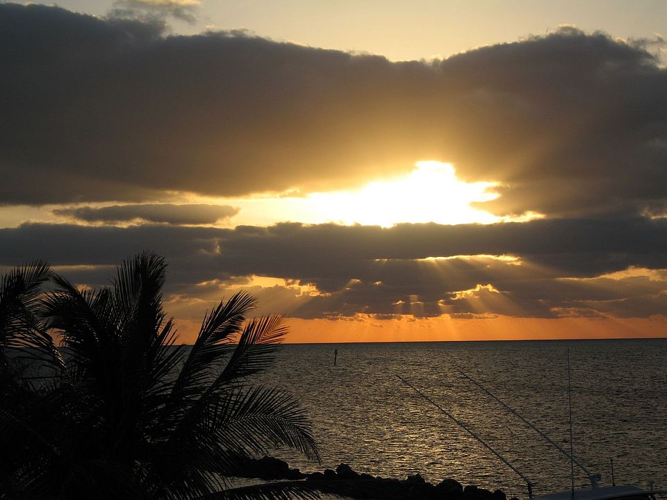 Sunrise in Paradise