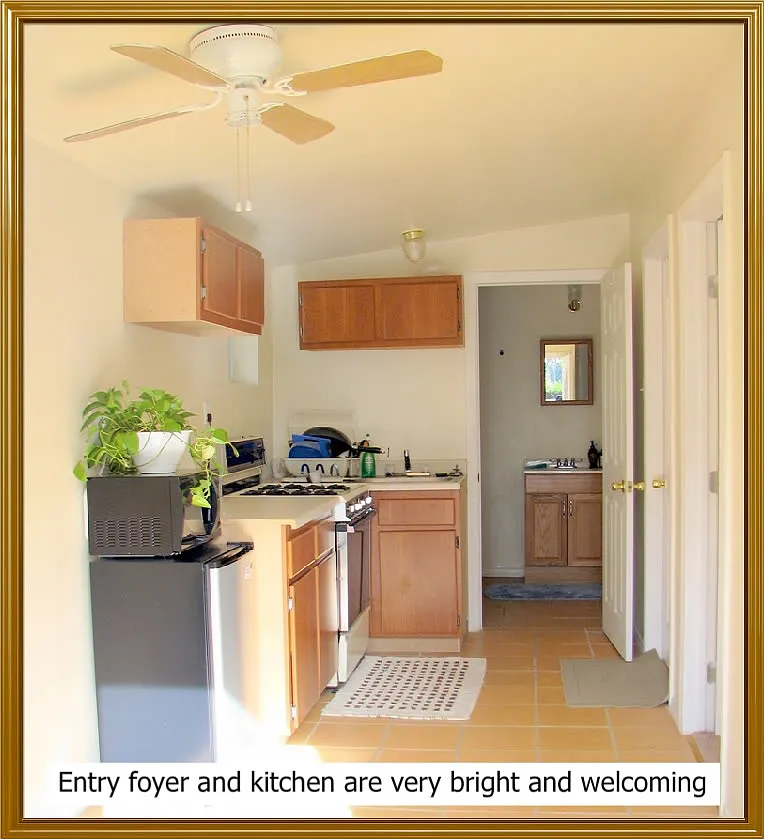 1 bed, 1134 sqft, $899 — Photo 4